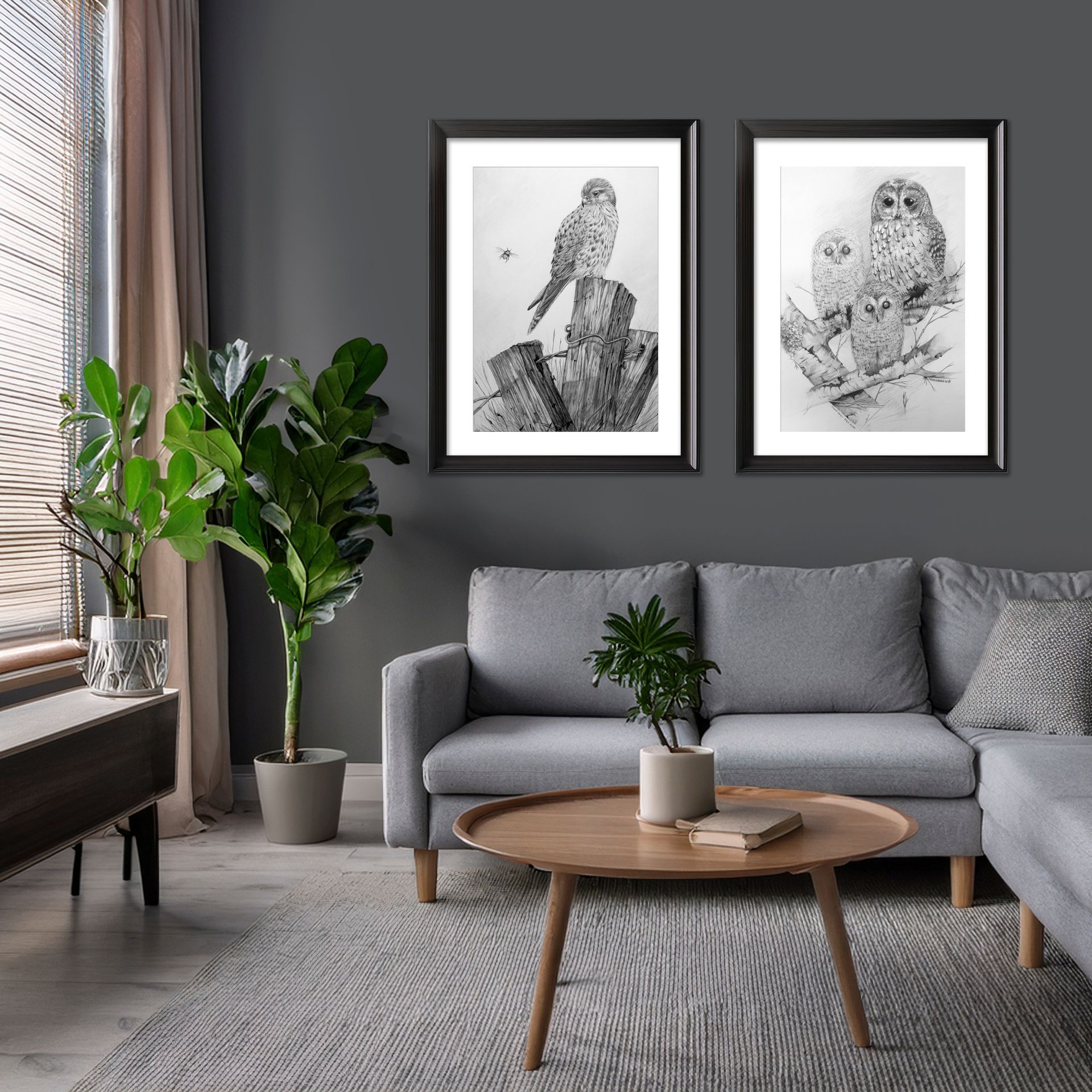 Framed pencil drawing of an owl and kestrel 