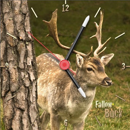 Young buck next to a tree. Square clock format also available as a portrait large clock.