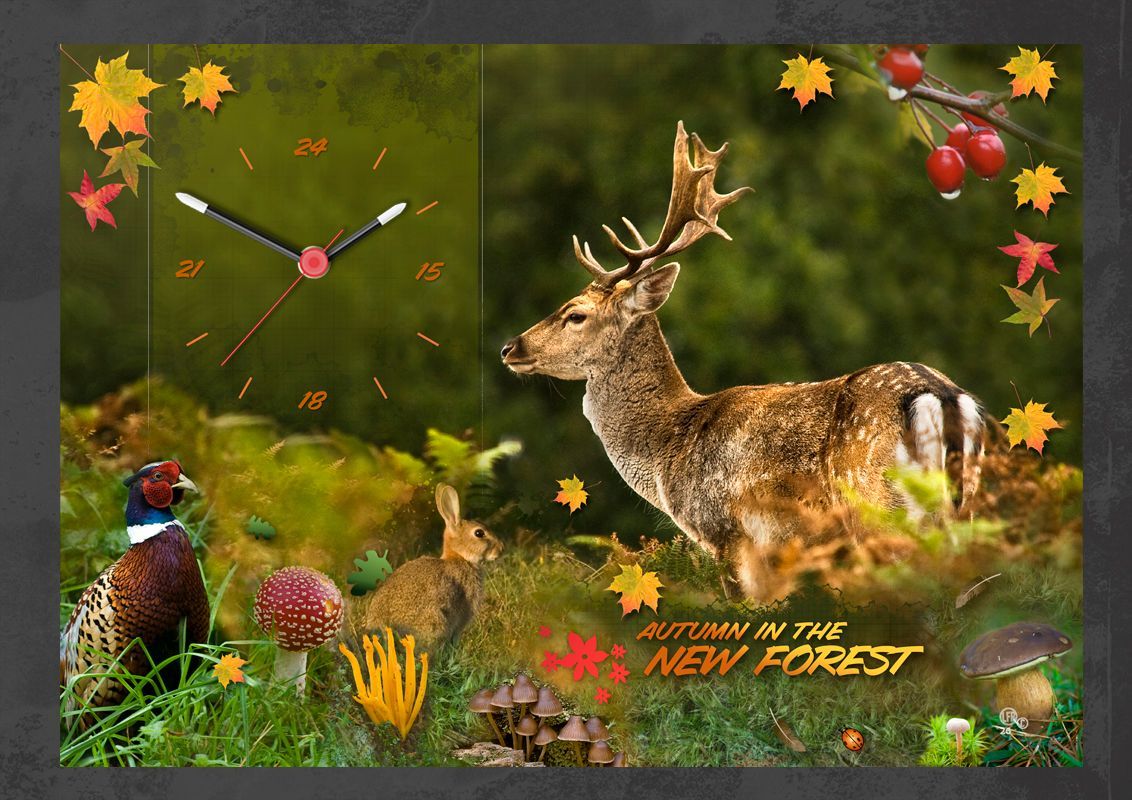 Autumn in the New Forest. A composite of a number of  images, the main character is a fine male Fallow Buck.  I have taken throughout the autumn months to composite a colourful clock design. 