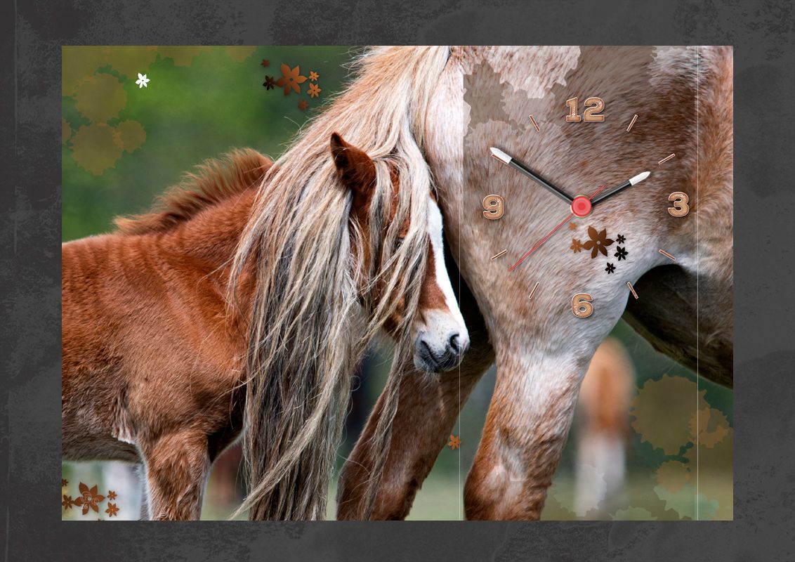Young Foal & Mare Clock.
A  camera shy foal with its mother hiding behind her tail.