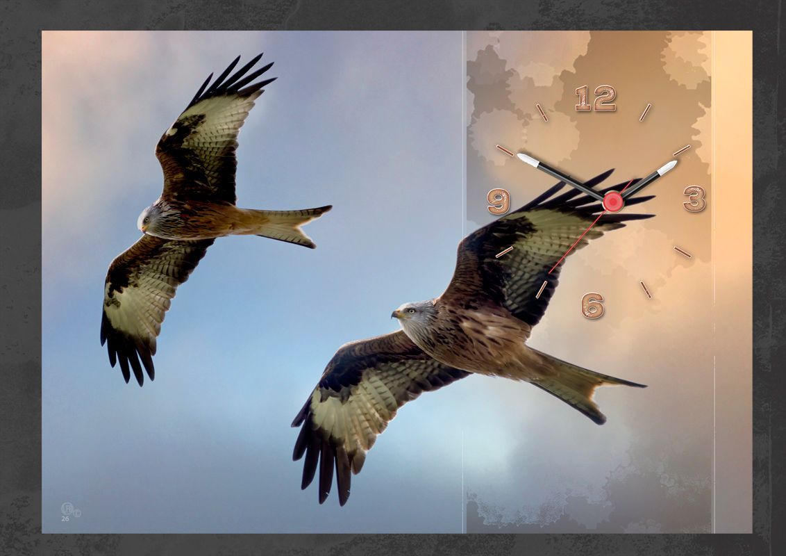 Two Red Kites Clock