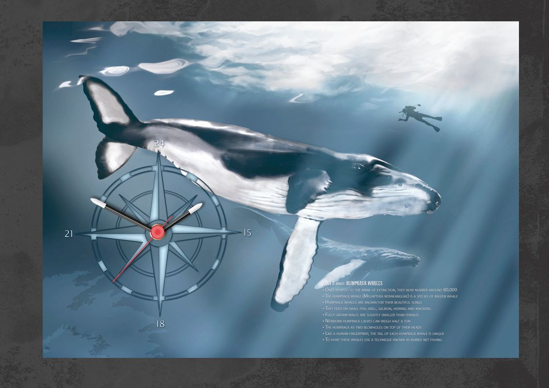 Humpback whale clock. Composite artwork (not Ai). Combination of digital  illustration and photoghaphy.