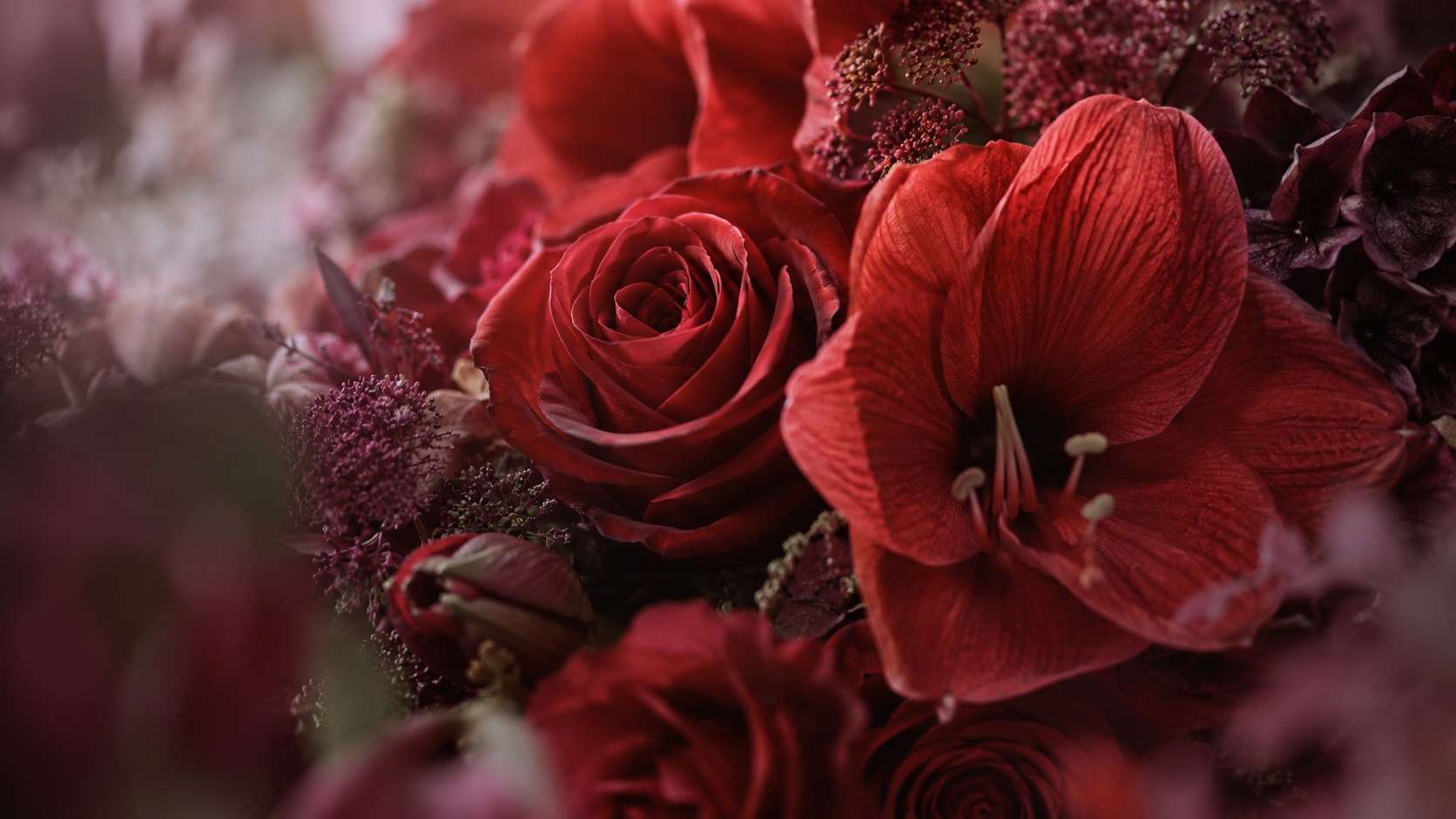 Deep red roses and amaryllis blooms with soft blurred flowers in the background