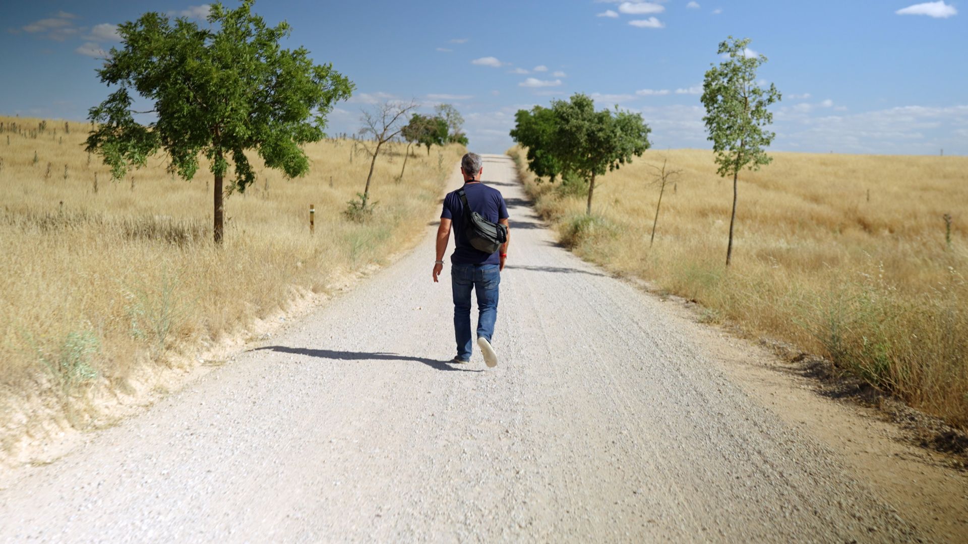 Black Lab Films | A person walks away from the camera down a light-coloured gravel road through a dry, grassy landscape with scattered trees.