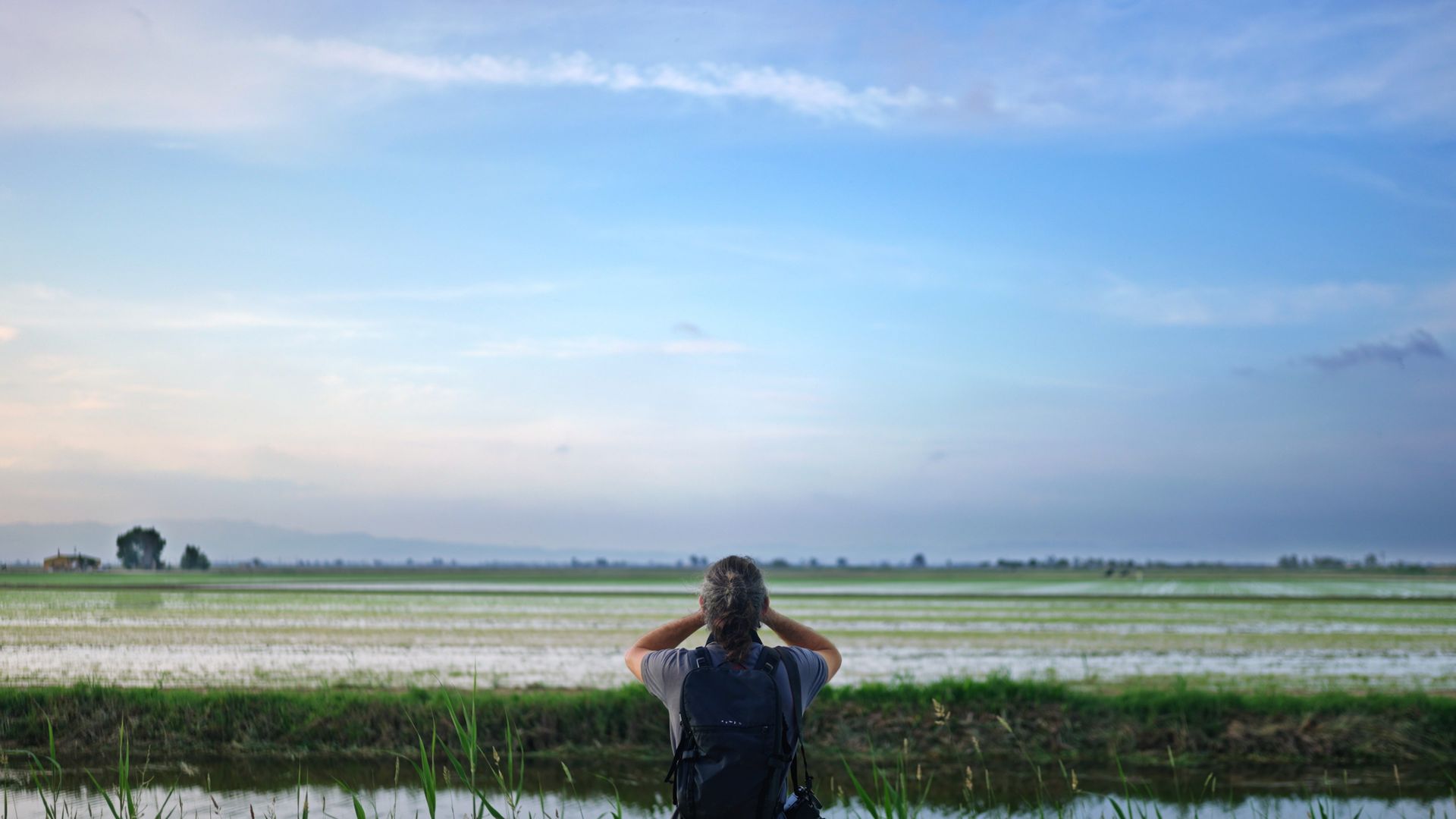 National Geographic x Zurich Insurance ‘The Butterfly Effect’