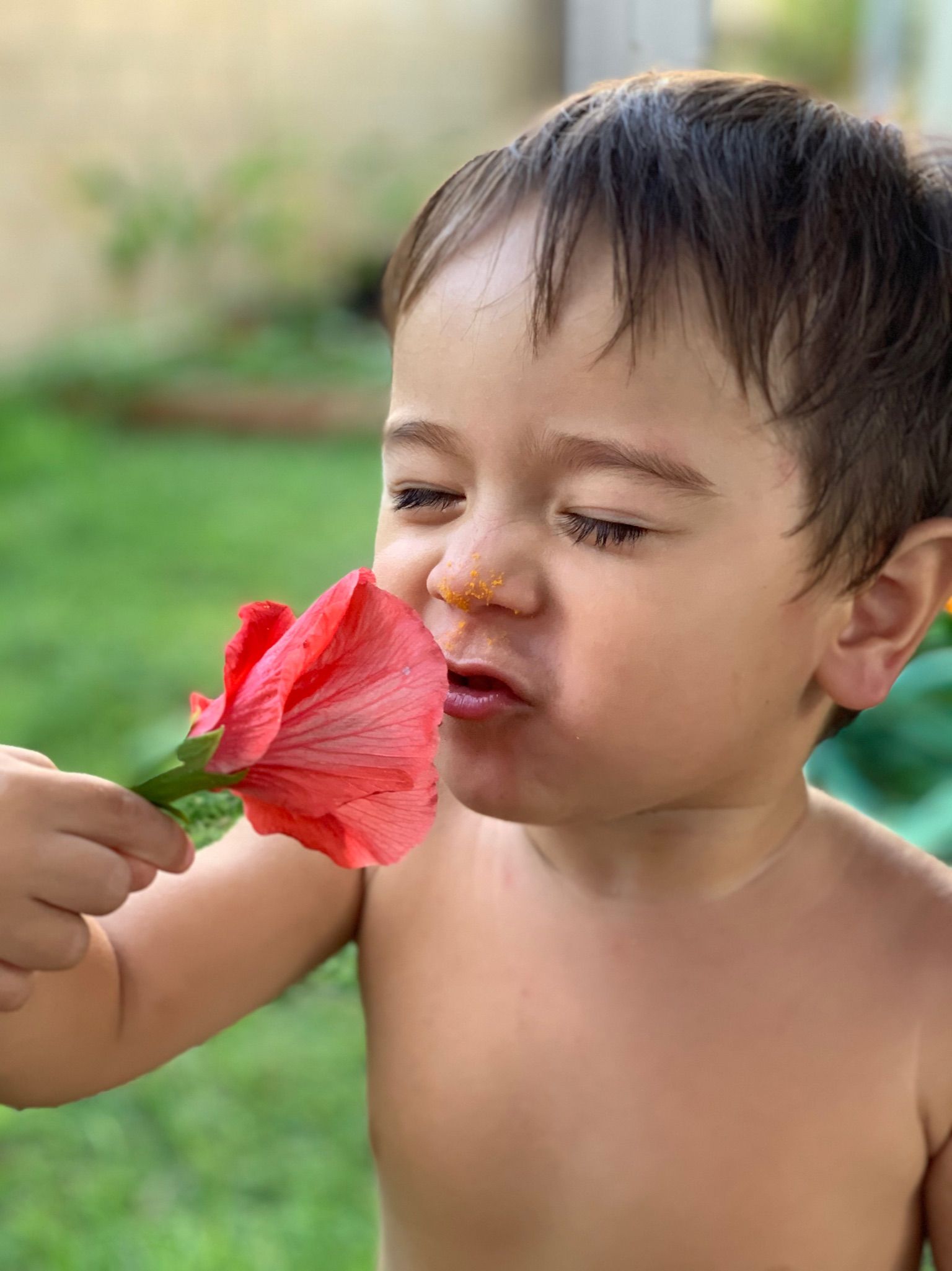 A young boy is smelling a red flower.