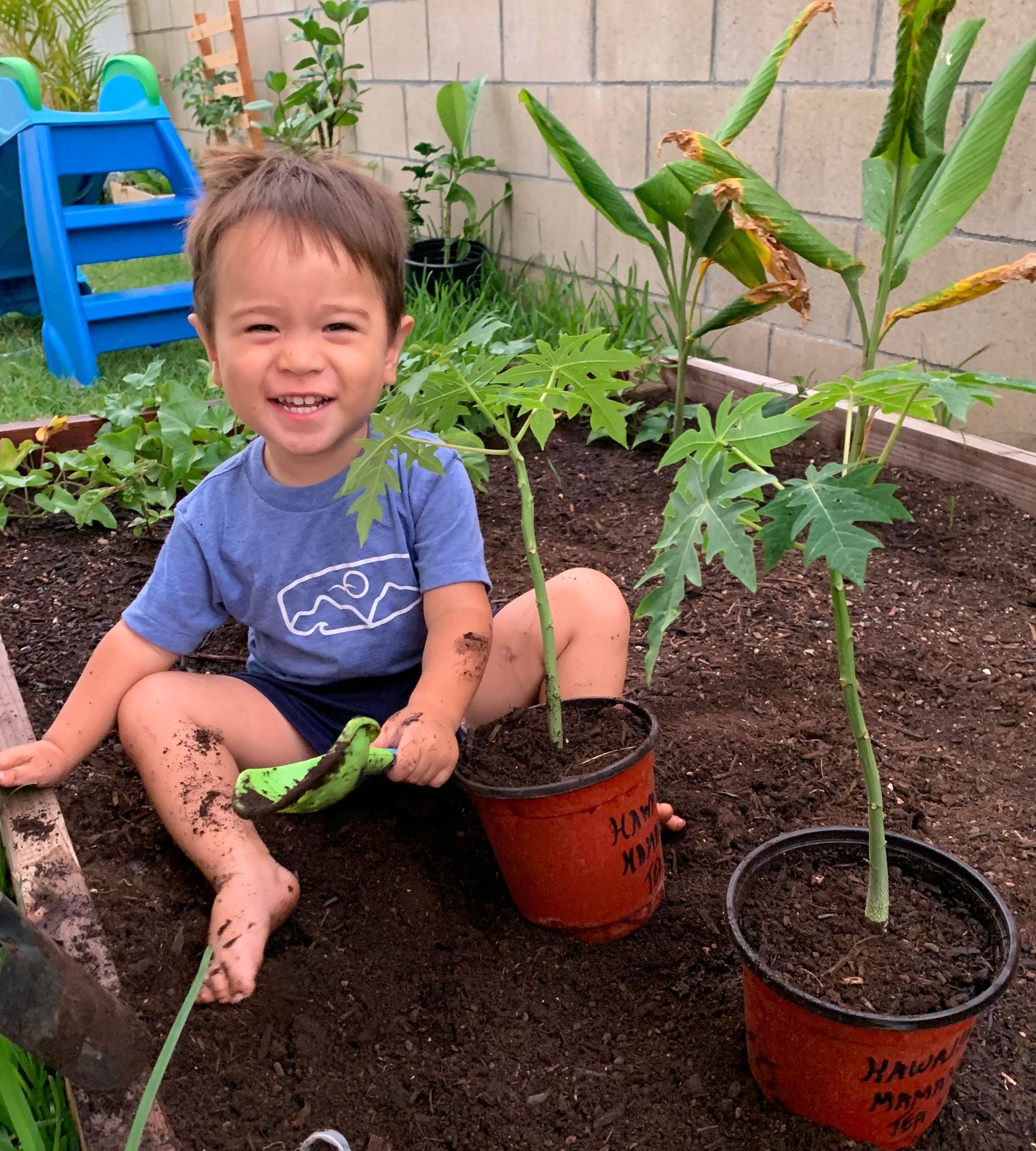 A little boy is sitting in a garden with potted plants