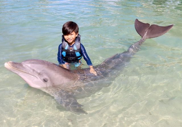A young boy is petting the back of a dolphin in the water.