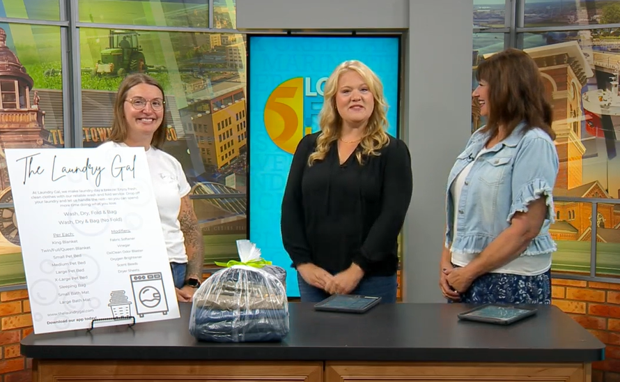The Laundry Gal on Local 5 Live