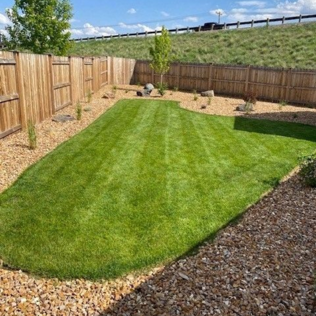 Well-manicured green lawn with gravel border, wooden fence, and hillside background.
