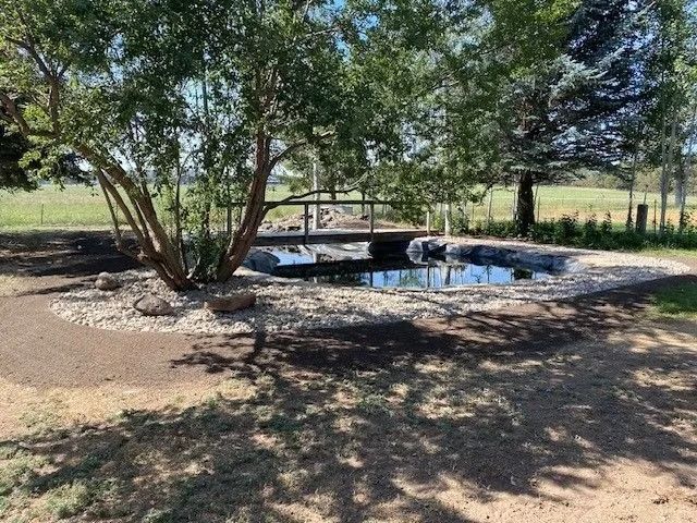 Pond surrounded by rocks and gravel, with a small bridge and trees in the background.