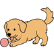 A light brown puppy happily playing with a round, pink ball.