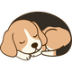 A tan, white, and black beagle puppy curled up and sleeping peacefully.