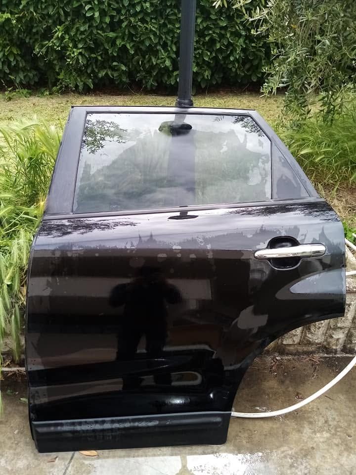 La portiera nera di un'auto era appoggiata a una siepe, lasciando intravedere il finestrino, la maniglia e l'antenna.