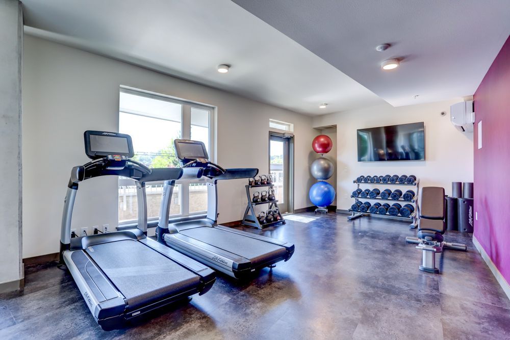 Bright gym with treadmills, dumbbells, exercise balls, and wall-mounted TV on polished concrete floor.