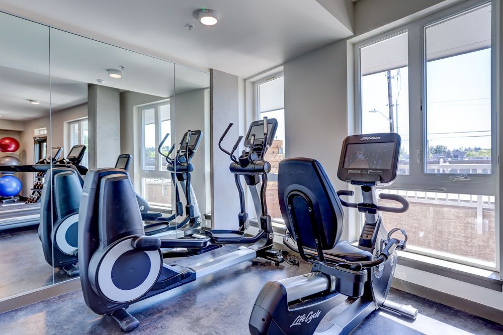 Bright gym with elliptical machines, mirrored wall, and large windows overlooking a city view