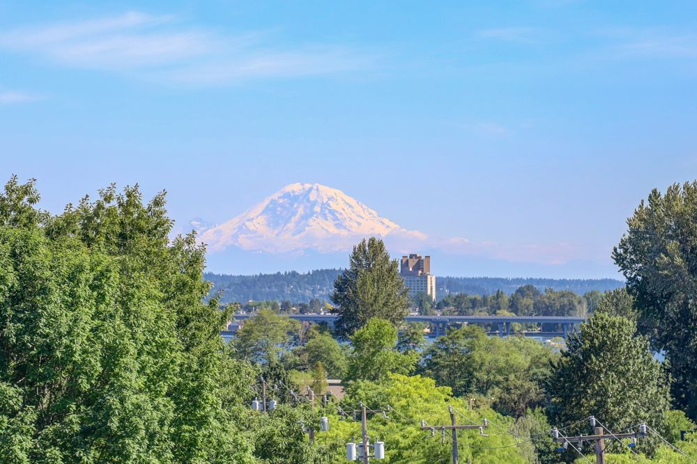 Snow-capped mountain above a green cityscape under a clear blue sky