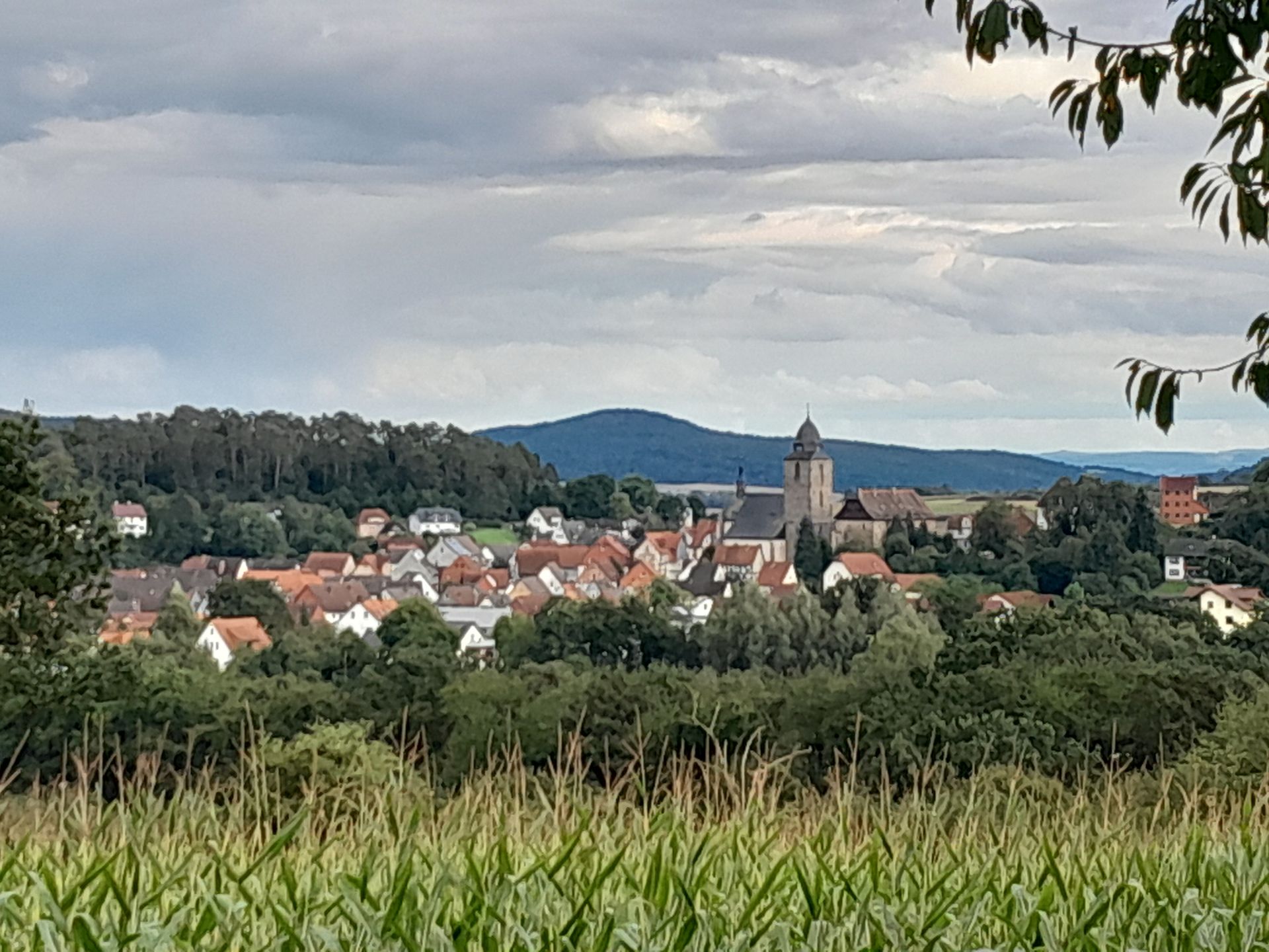 Een stadje verscholen tussen groene bomen en velden, met een kerktoren onder een bewolkte hemel.