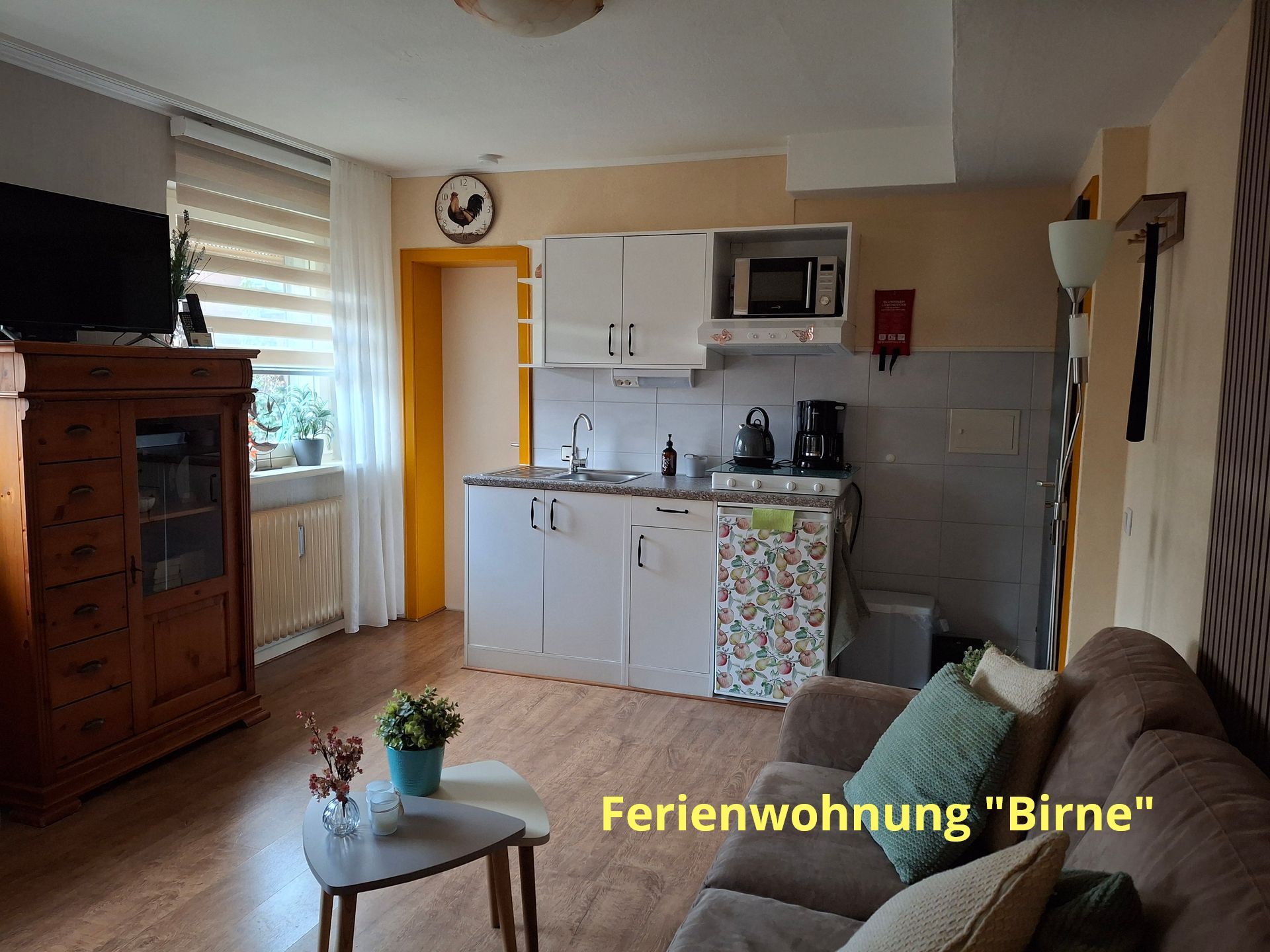 Gezellig studio-appartement met kitchenette, bank en houten kast. De tekst luidt 