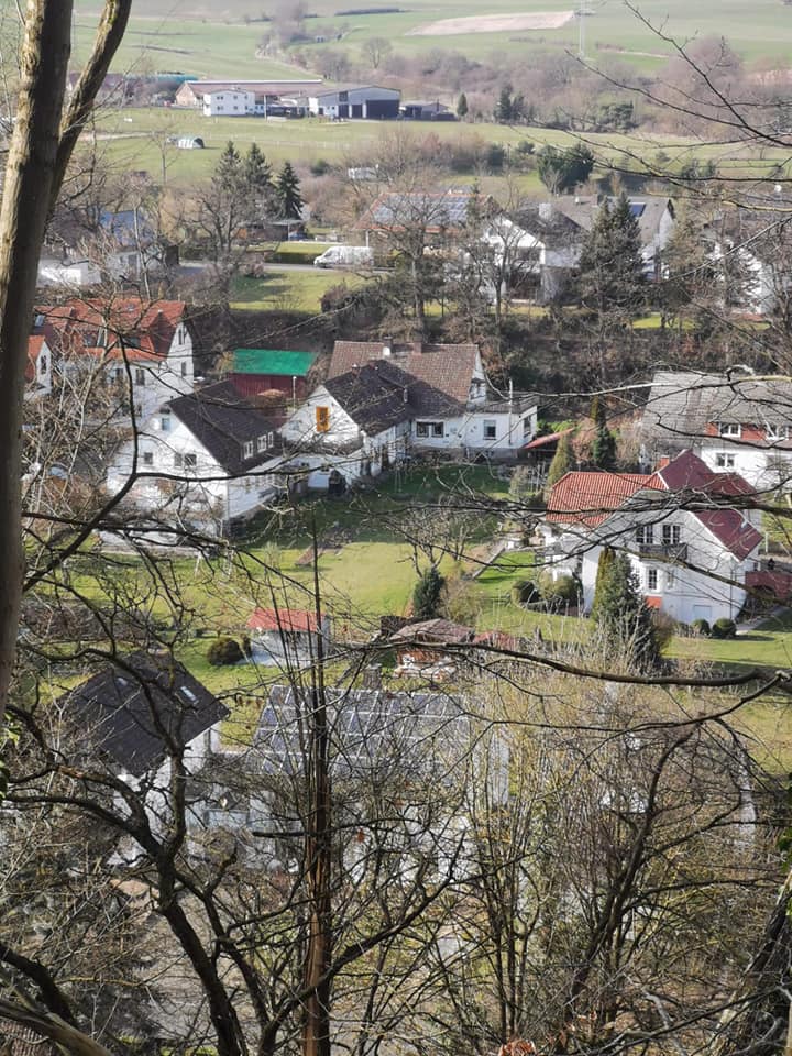 Bovenaanzicht vanuit het bos op vakantiewoningen Rensjo