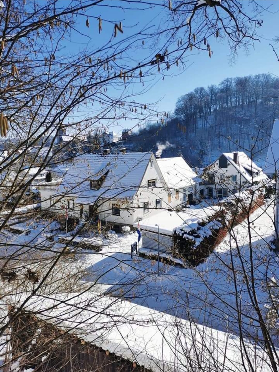 Met sneeuw bedekte gebouwen verscholen in een vallei, omlijst door kale boomtakken tegen een helderblauwe hemel.