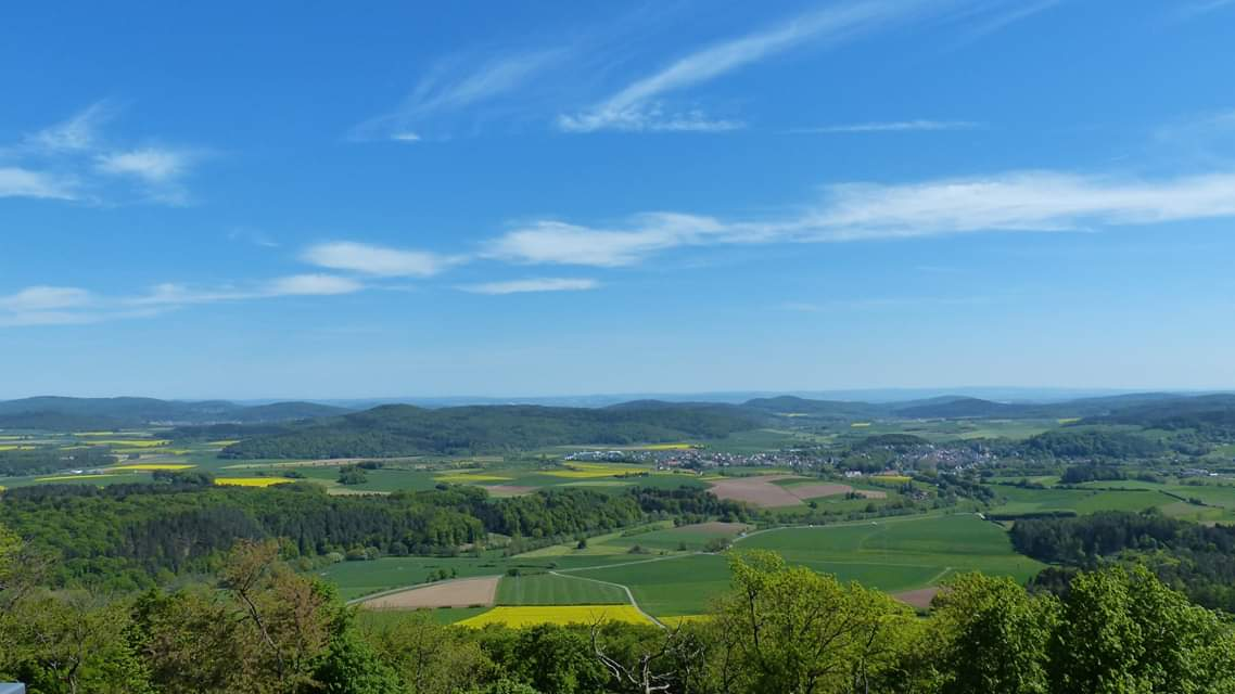Een uitgestrekt landschap met velden, bossen en een stad onder een helderblauwe hemel met ijle wolkjes.