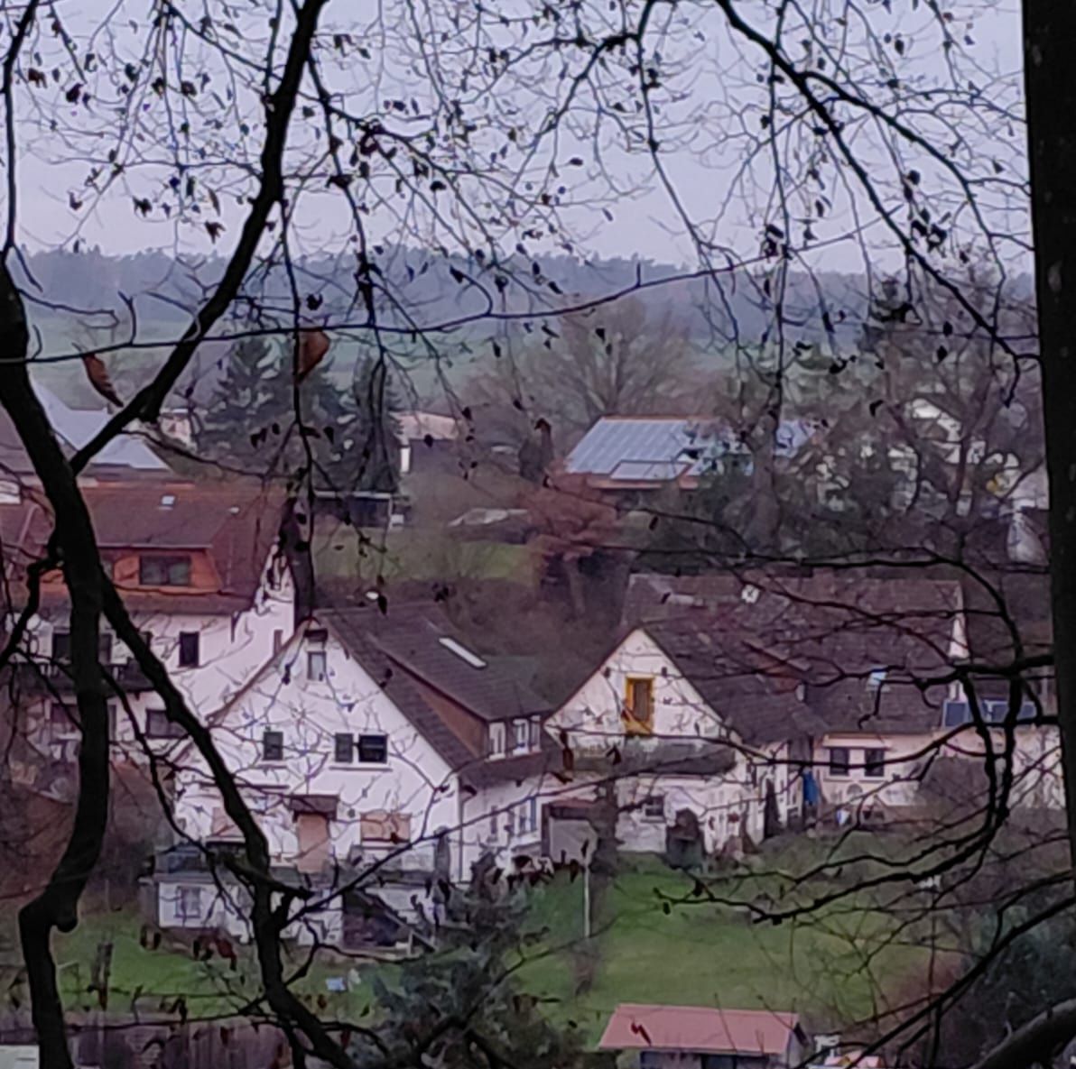 Huizen met roodbruine daken staan ​​dicht bij elkaar op een heuvel, zichtbaar door de kale takken van bomen op een bewolkte dag.