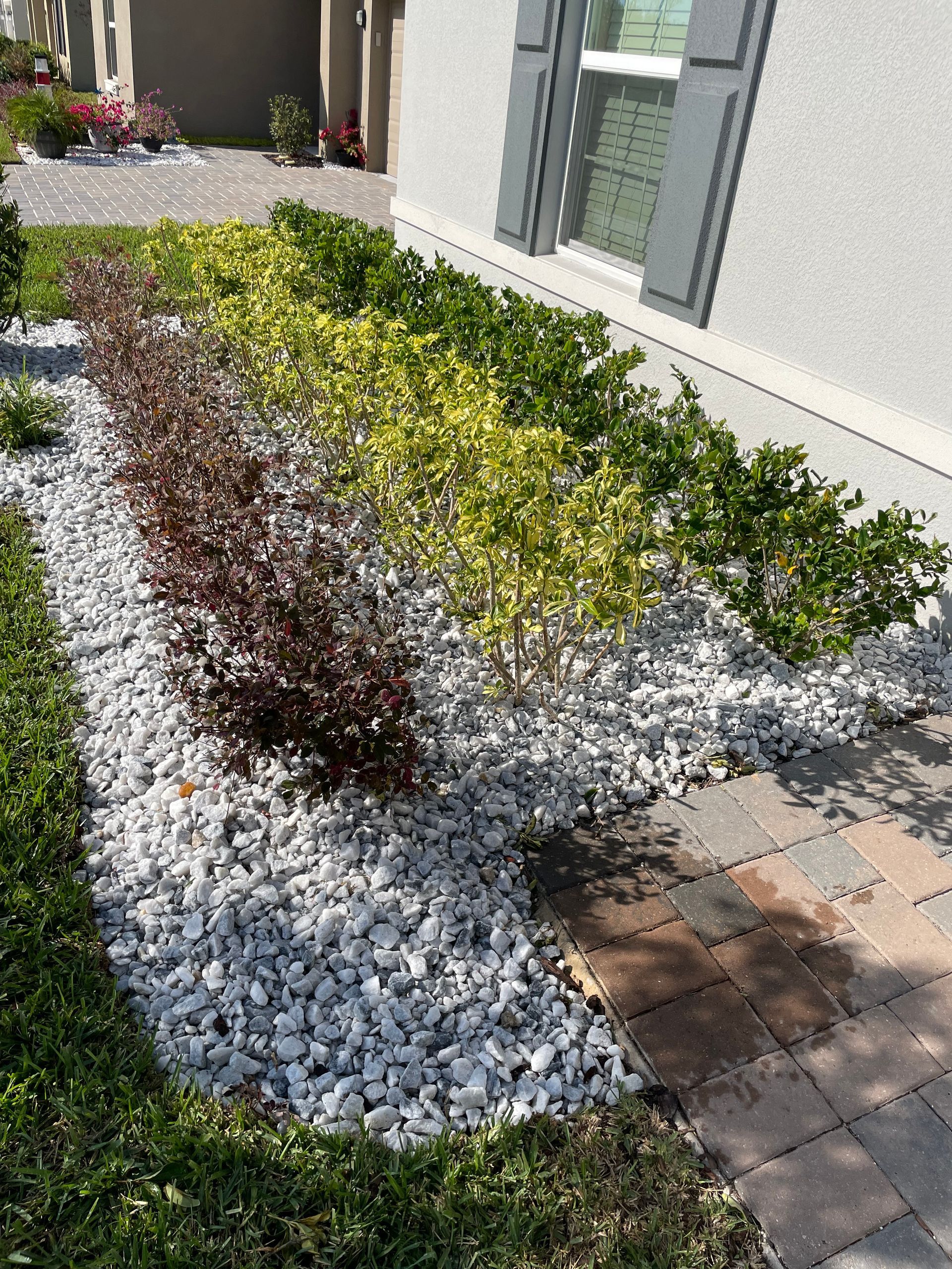 a garden with white rocks and plants in front of a house
