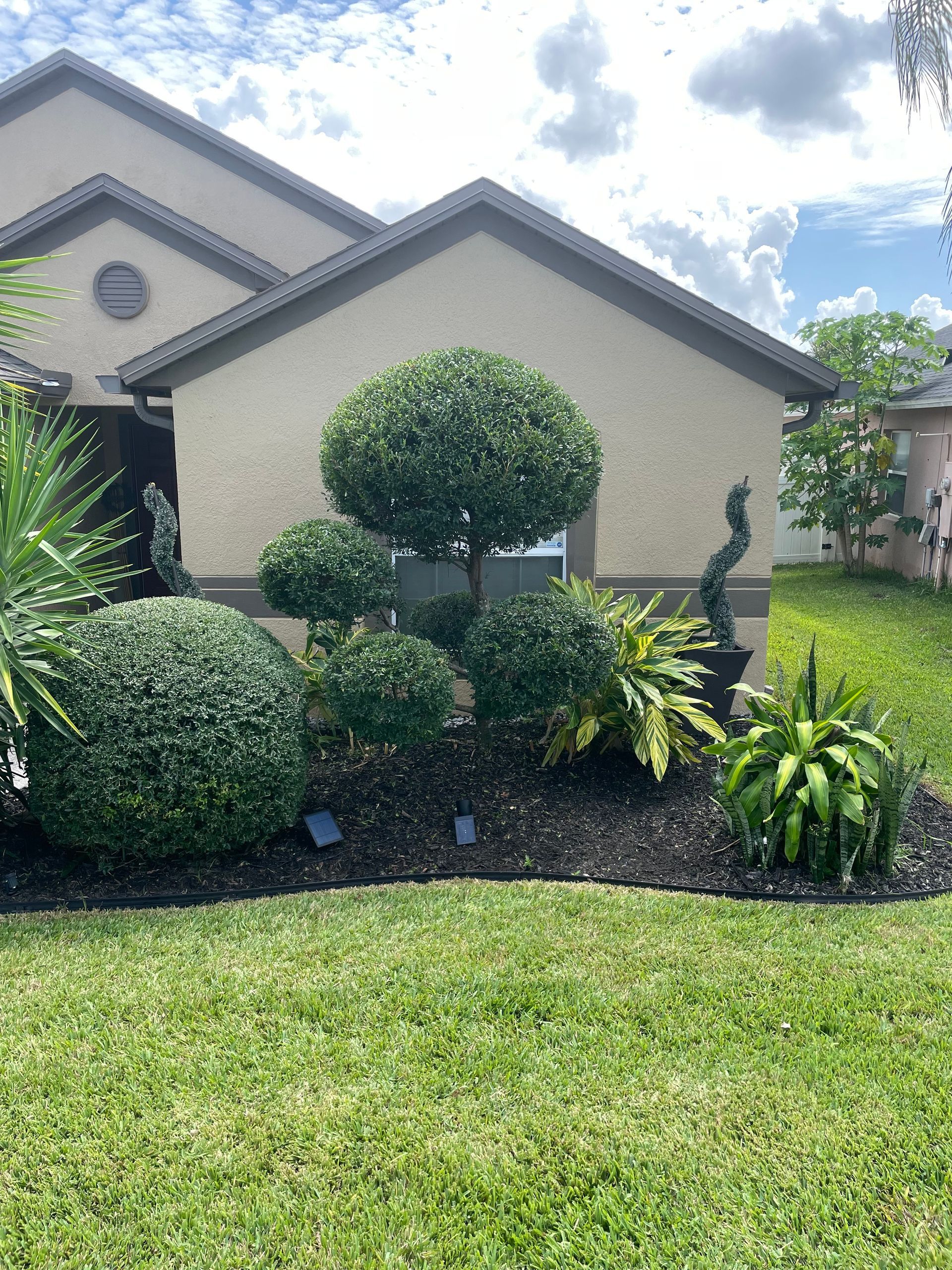 shrubs and bushes trimmed  and mulch installation services by the Goin Moin Team