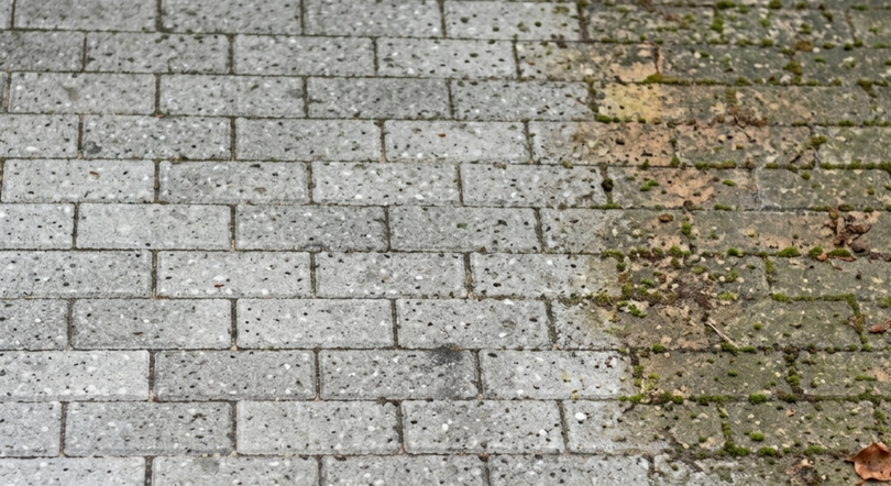 Close-up of gray brick pavement with a patch of moss and fallen leaves on the right side