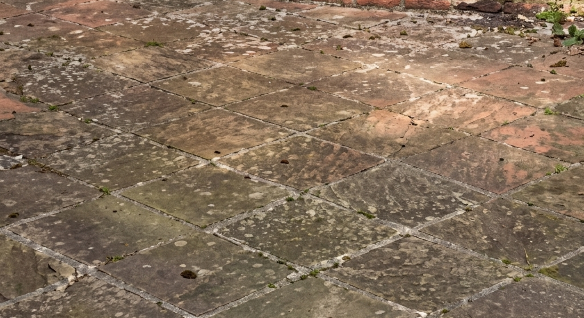 Muddy, weathered cobblestone pavement with scattered moss and fallen leaves