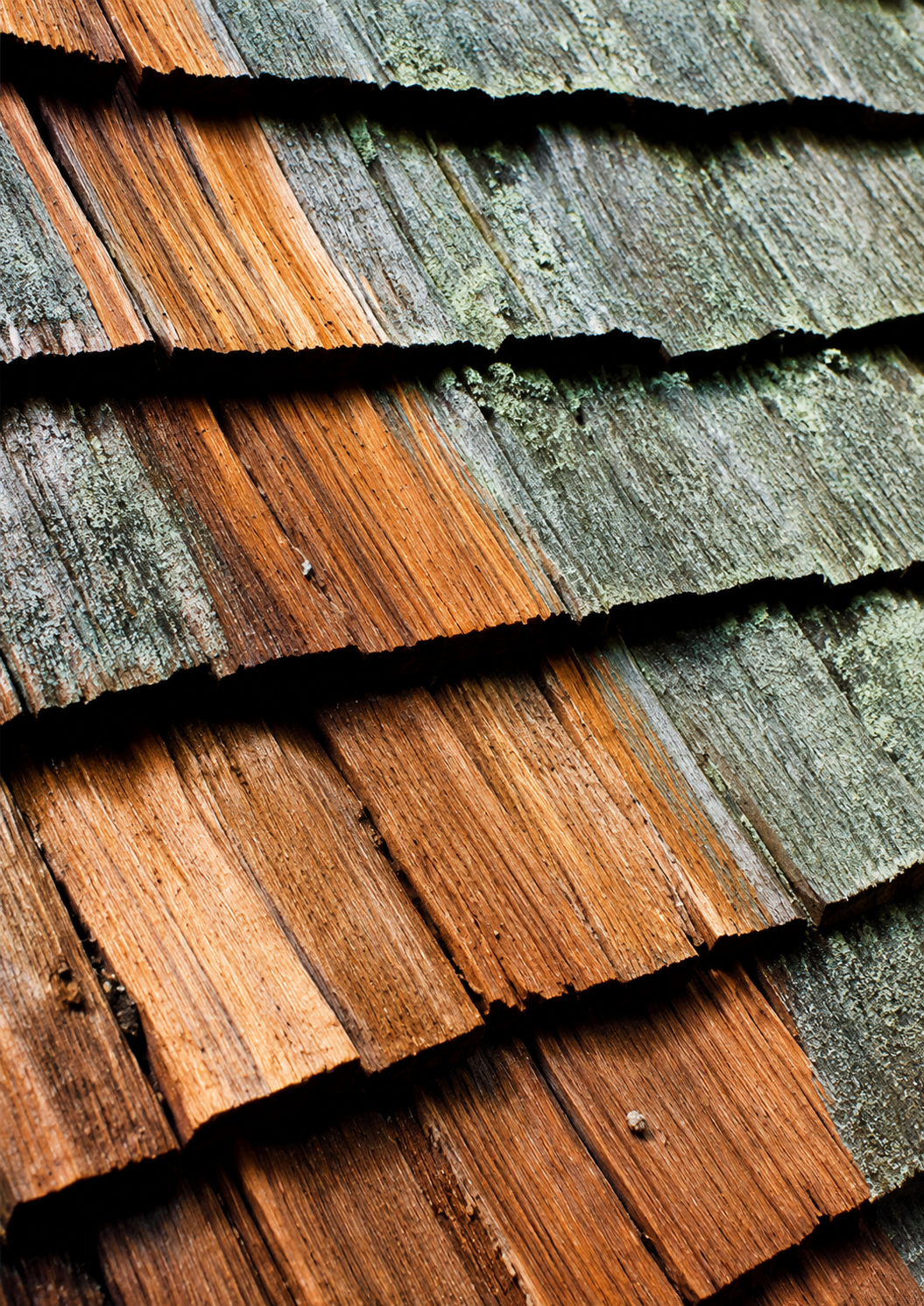 Close-up of weathered roof shingles with orange-brown and gray-green tones