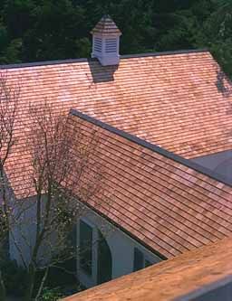 Red-tiled rooftop with a small white cupola, seen above trees and a house exterior.