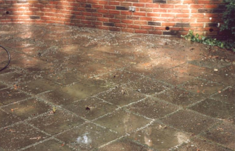 Wet brick patio beside a red brick wall, with sunlight reflecting on the ground.