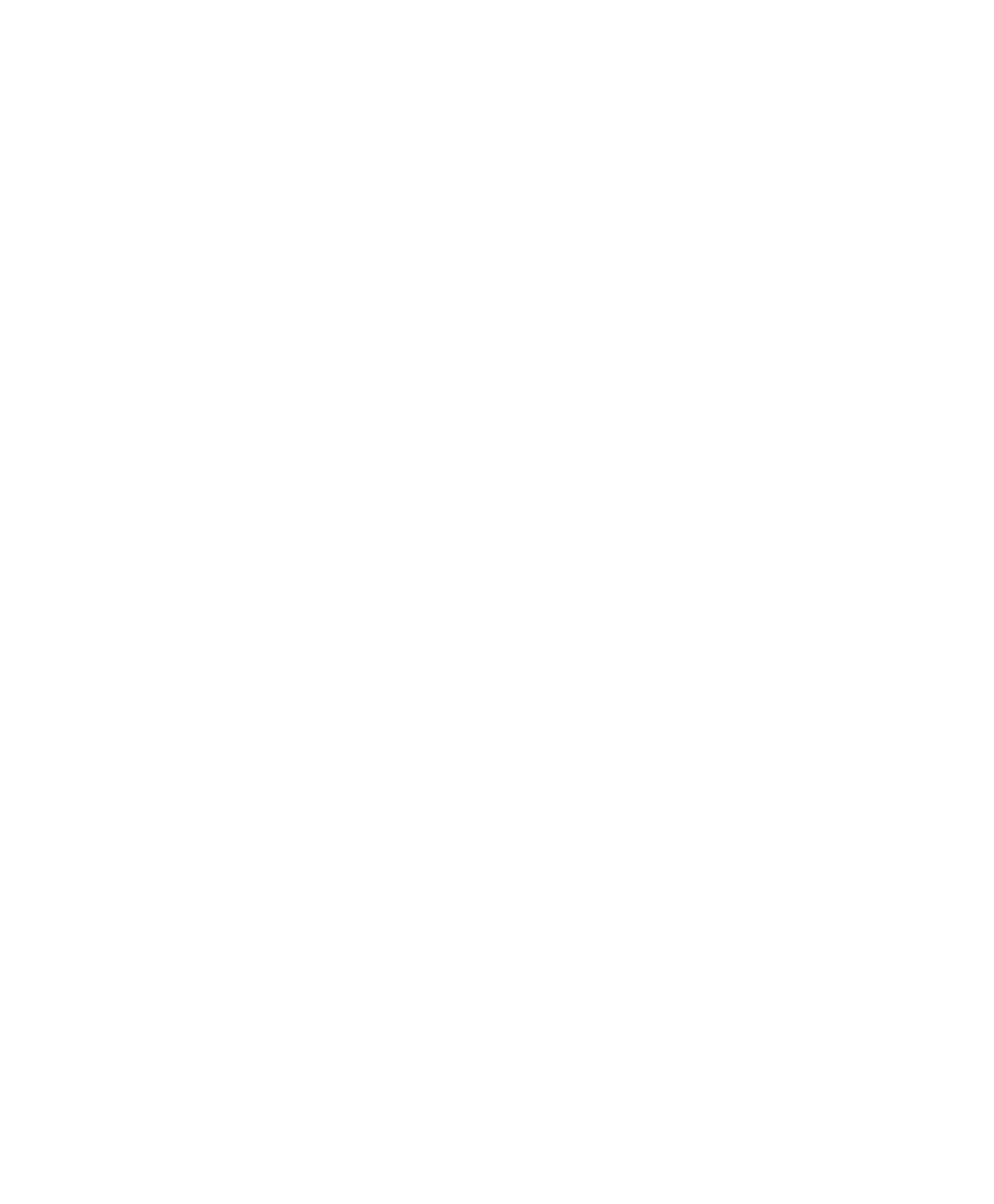Blank white space.