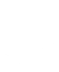 Blank white space.