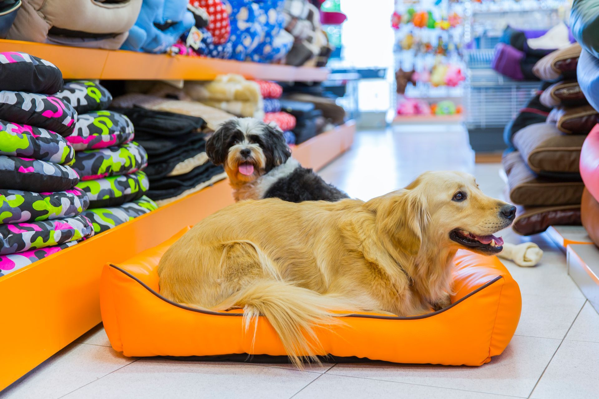 pet store