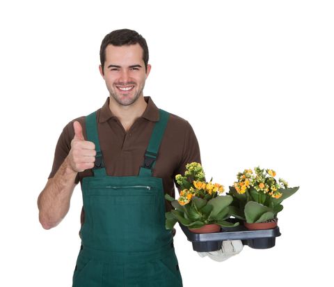 Un uomo tiene in mano un vassoio di fiori e fa un gesto con il pollice in su