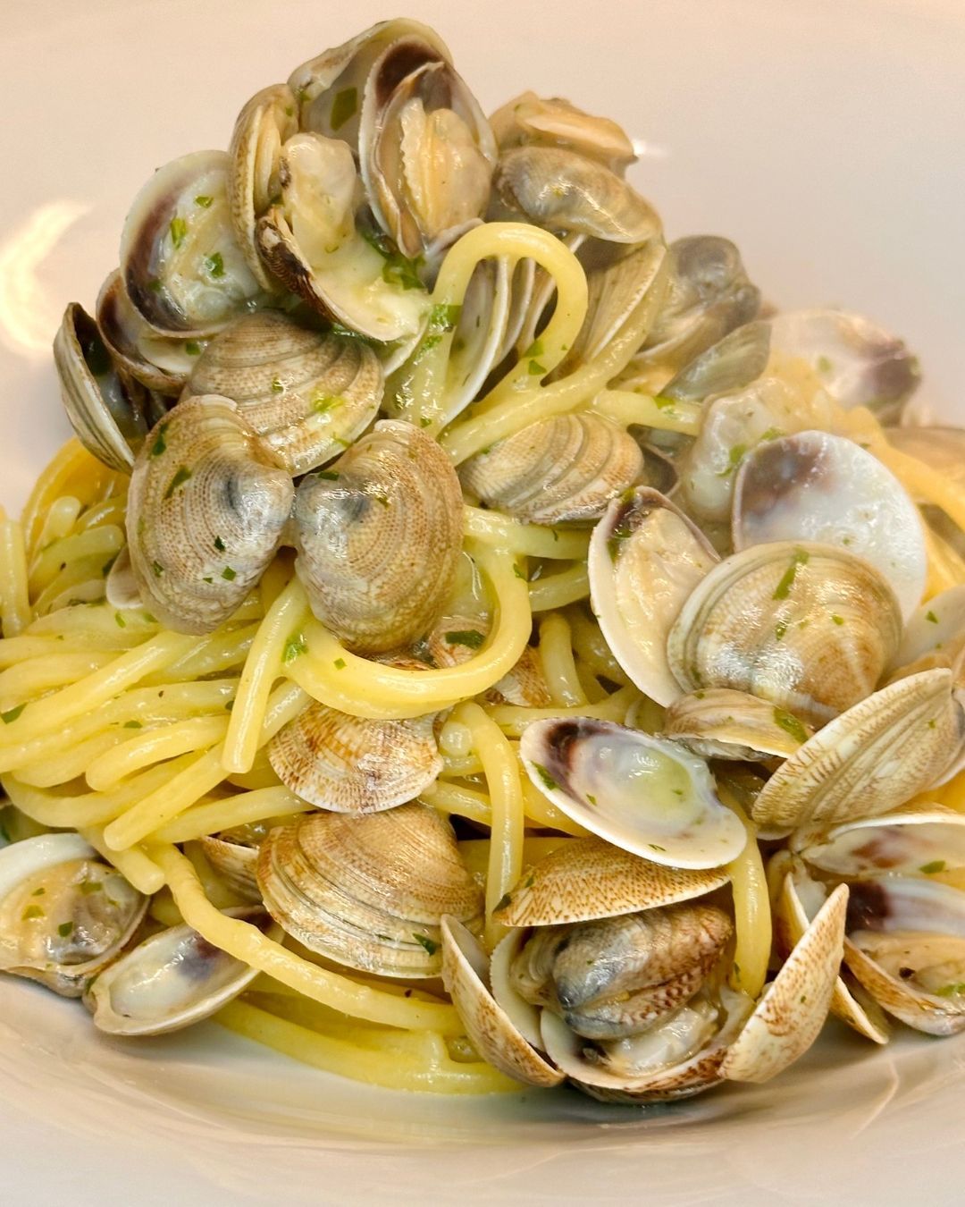 Spaghetti alle vongole della tradizione, Vela Blu Riccione