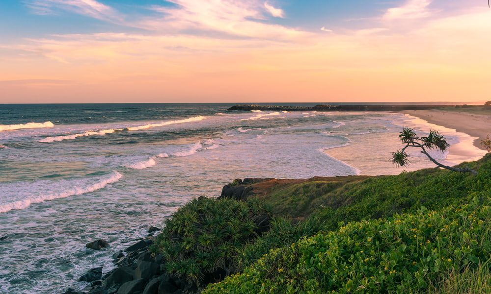A View of a Beach at Sunset With a Palm Tree in the Foreground — B & B Timbers Ballina In Ballina, NSW