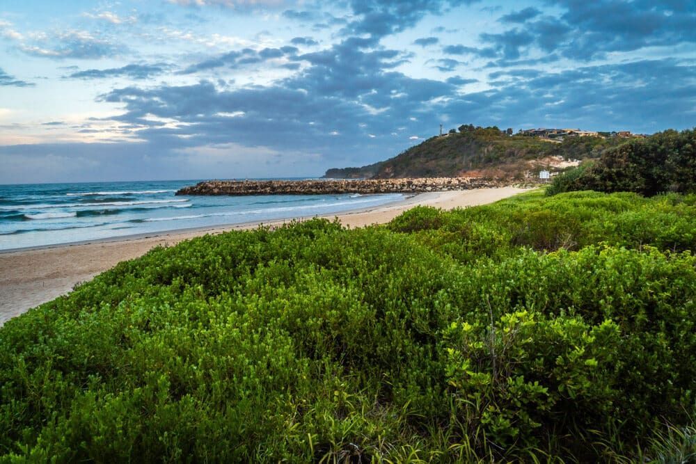 A Beach With a Lot of Green Bushes and Trees Surrounding It — B & B Timbers Ballina In Evans Head, NSW