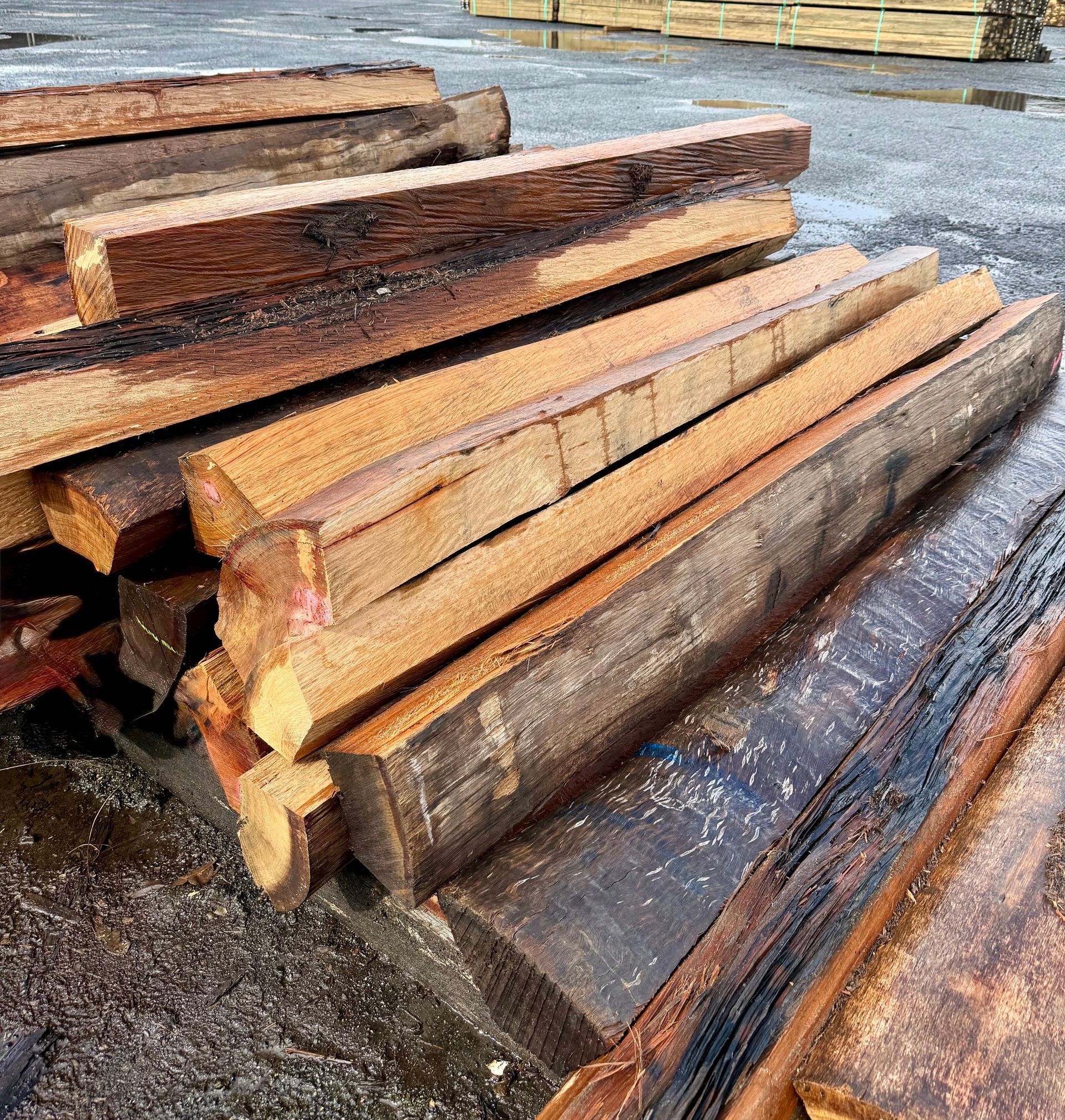 Stacked rough-cut lumber beams on wet pavement, dark brown wood in an outdoor yard — B & B Timbers Ballina In West Ballina, NSW