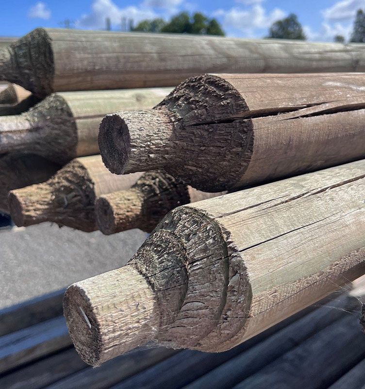 A Bunch Of Wooden Poles Are Stacked On Top Of Each Other — B & B Timbers Ballina In West Ballina, NSW
