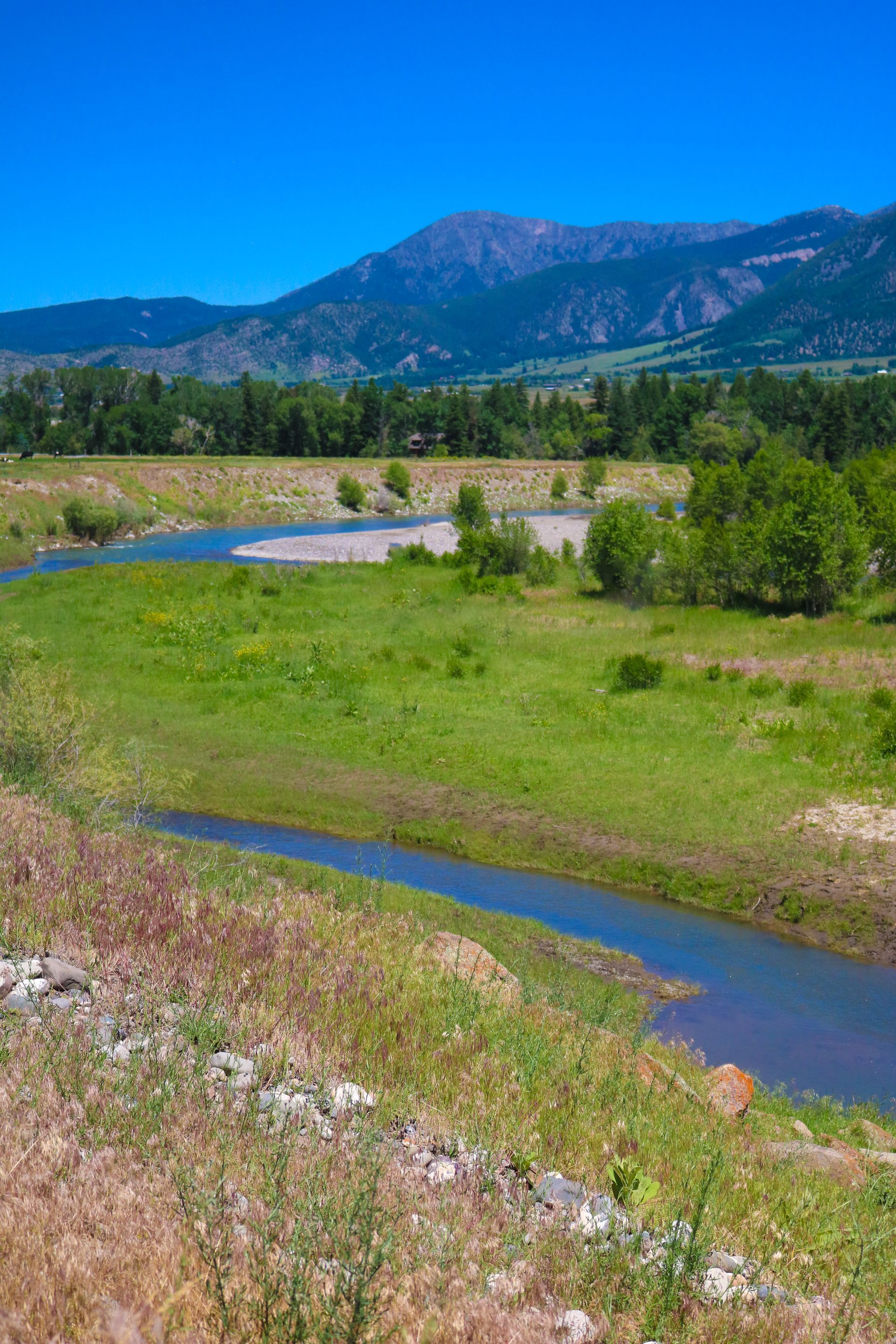 A river running through a grassy field with mountains in the background.