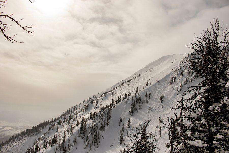 bridger bowl
