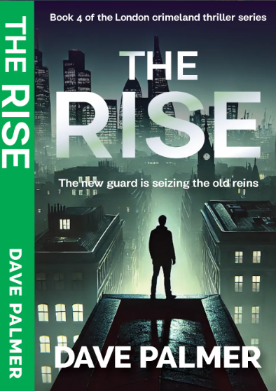 Book cover for The Rise by Dave Palmer, showing a lone figure on a rooftop over a misty city at night