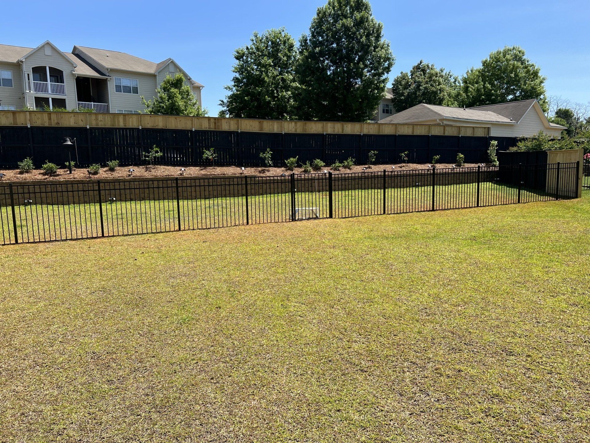 Lawn with a black metal fence, wooden border with plants, and a black privacy screen. Buildings and trees in the background.
