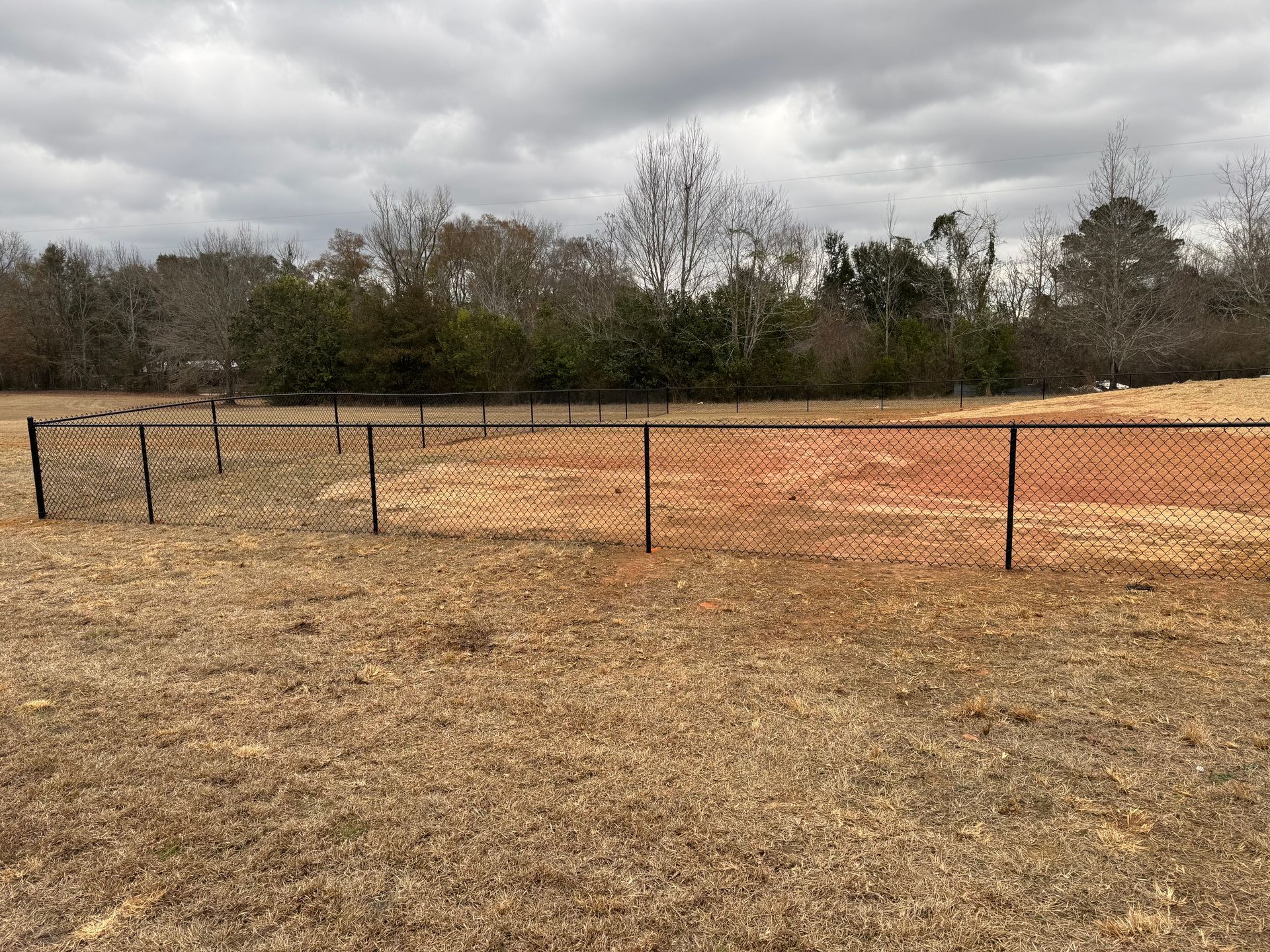 Black chain-link fence encloses a patch of brown grass, set against a background of bare trees and a cloudy sky.
