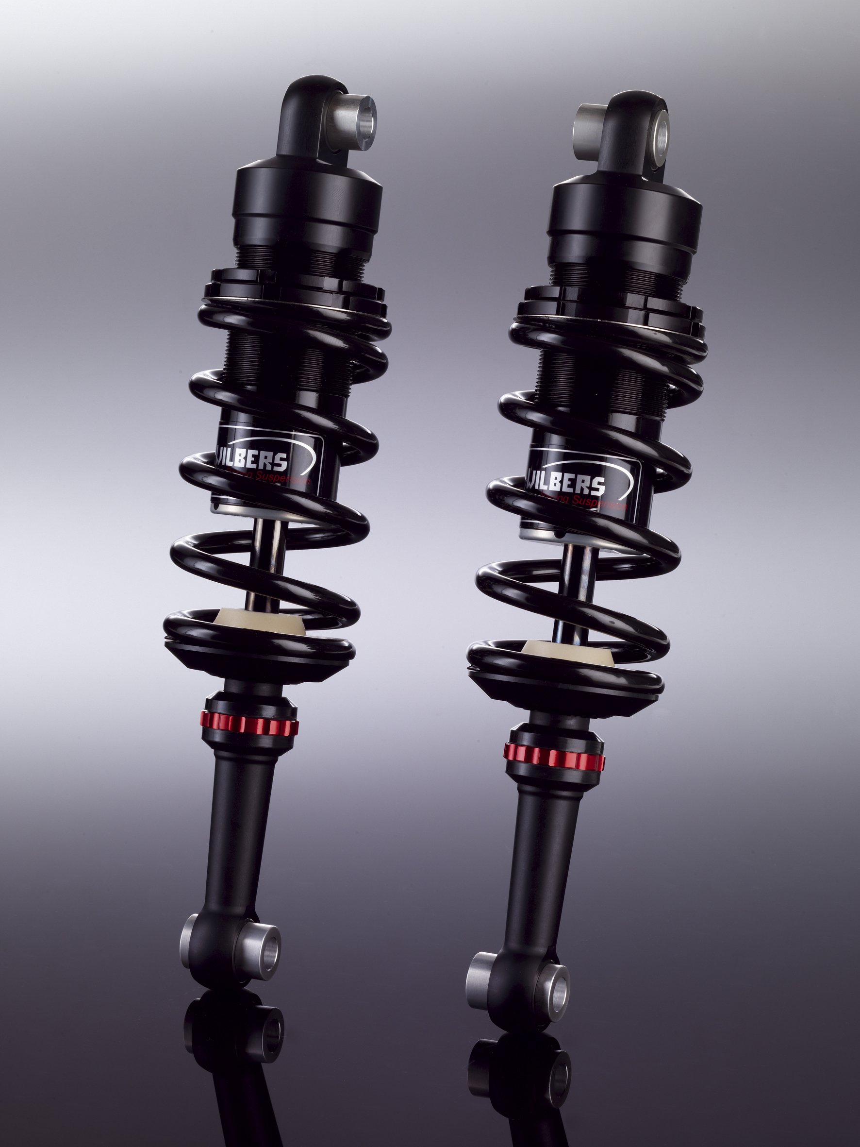 Wilbers suspension France