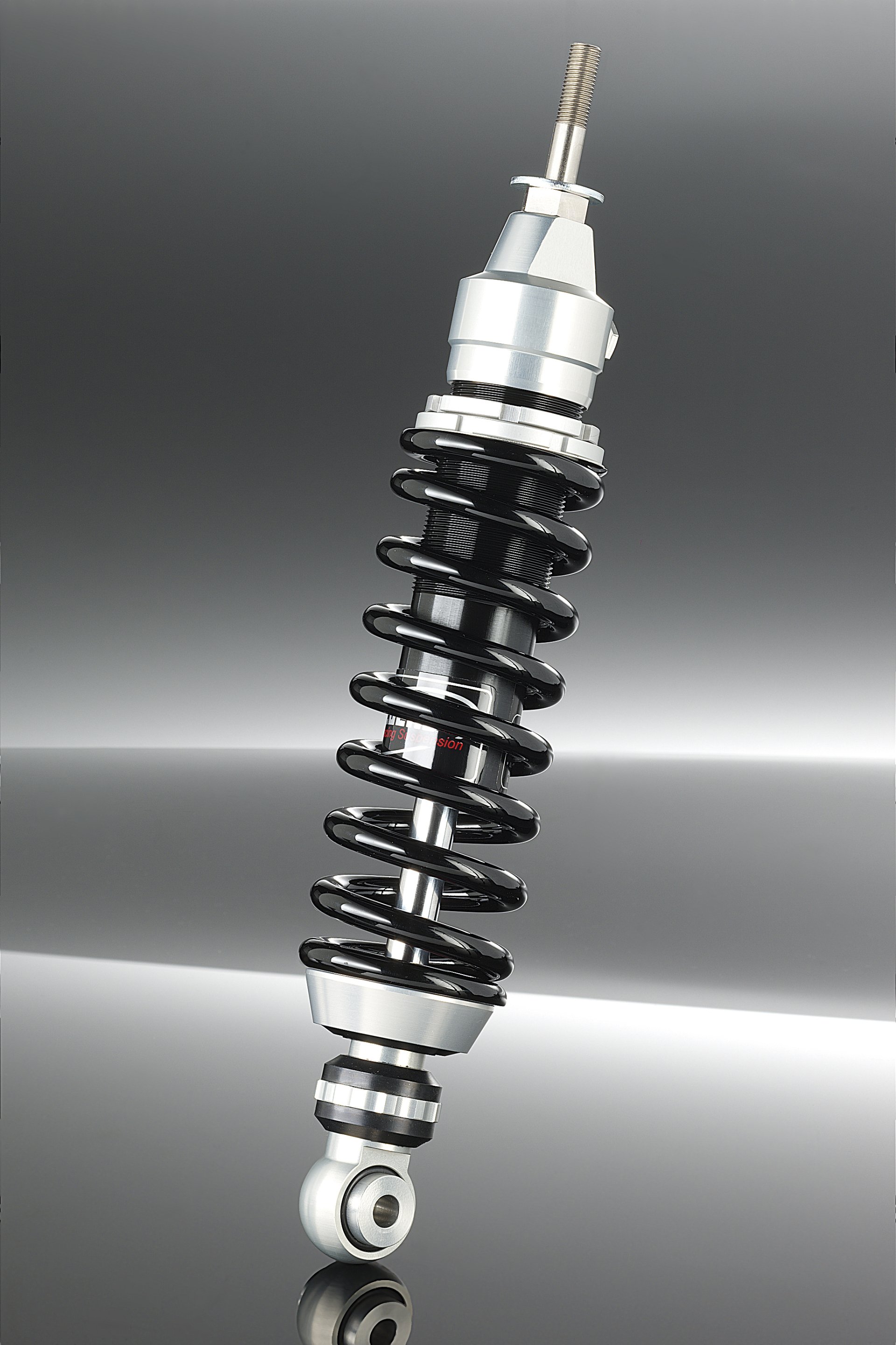 Wilbers suspension France